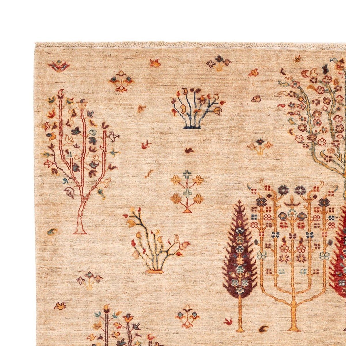 Tapis Ziegler - Ariana - 246 x 171 cm - beige clair