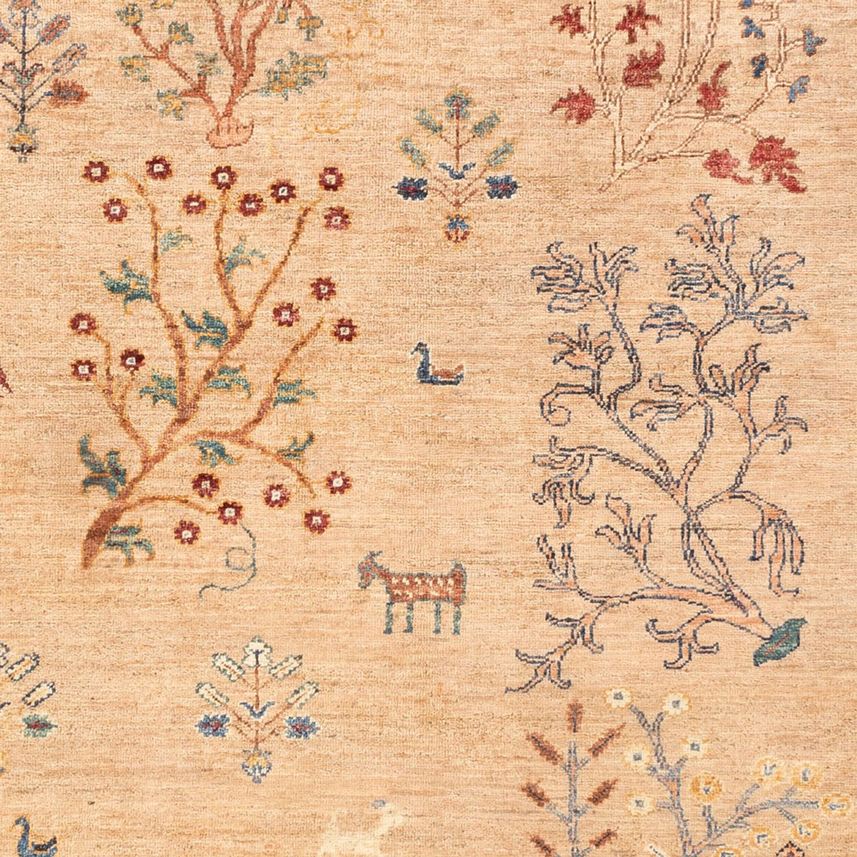 Tapis Ziegler - Ariana - 241 x 171 cm - beige clair