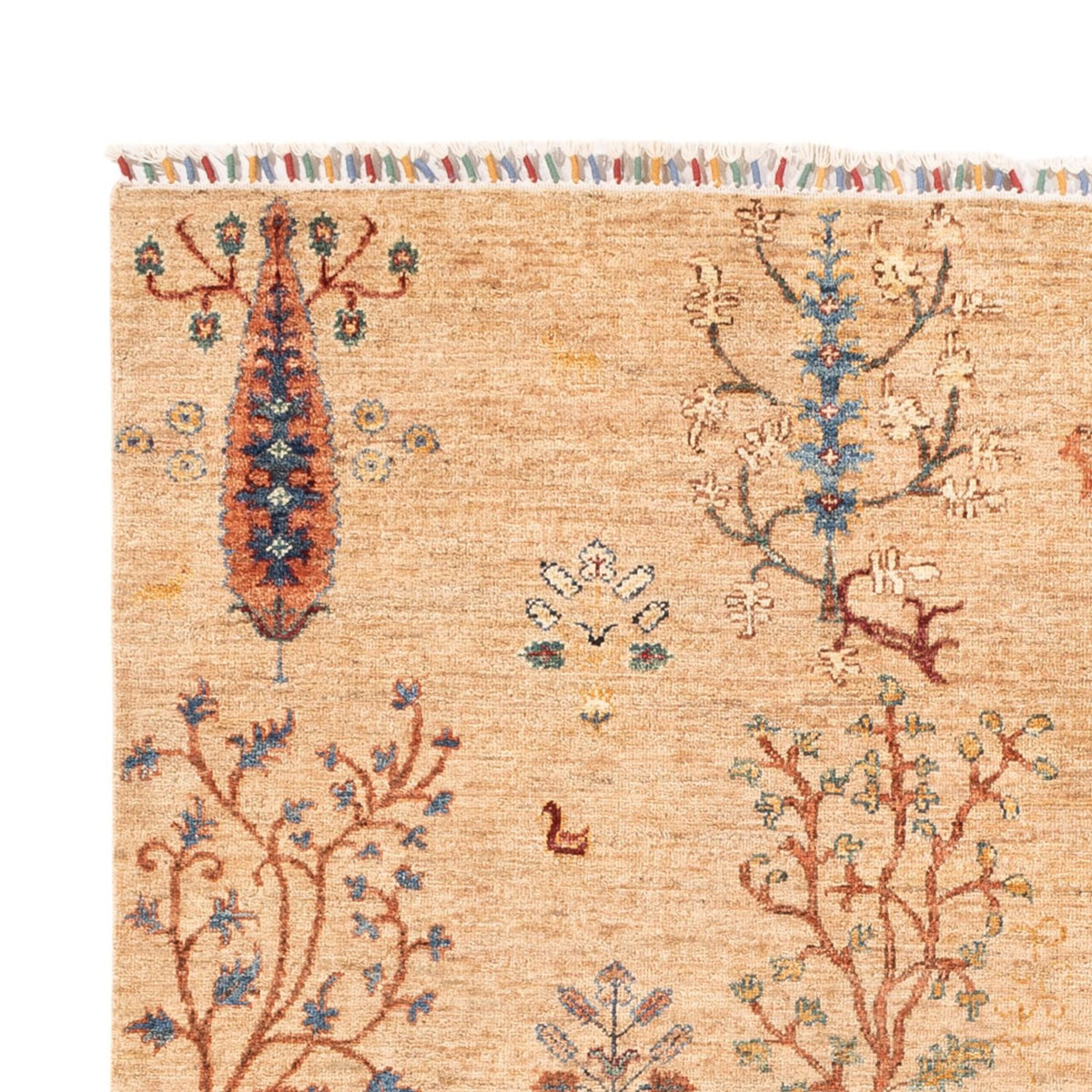 Tapis Ziegler - Ariana - 241 x 171 cm - beige clair