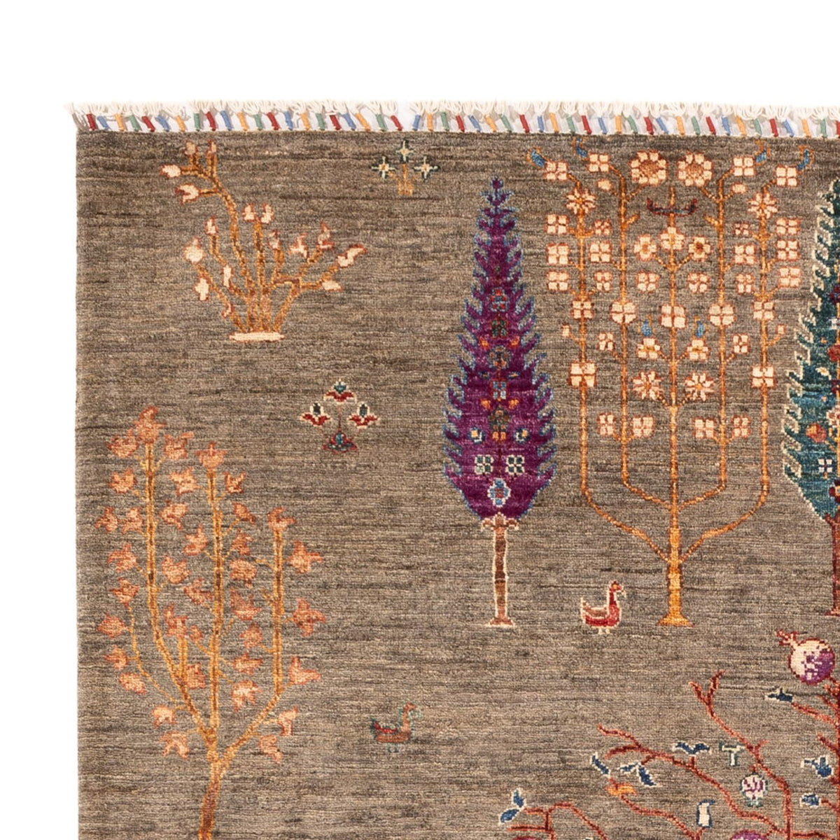 Tapis Ziegler - Ariana - 245 x 172 cm - beige foncé