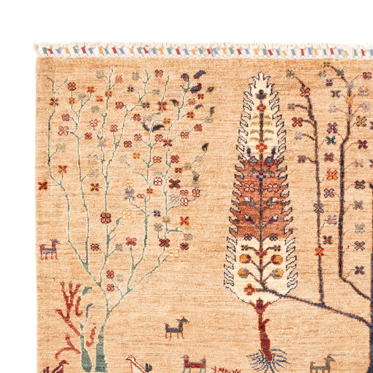 Tapis Ziegler - Ariana - 236 x 173 cm - beige