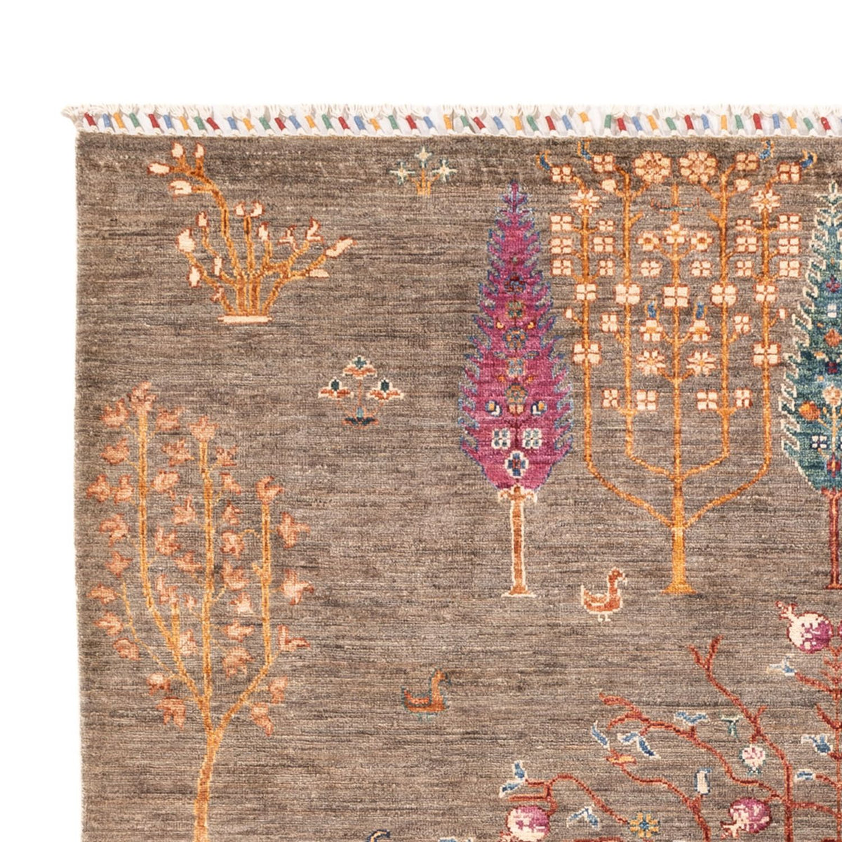 Tapis Ziegler - Ariana - 237 x 171 cm - gris