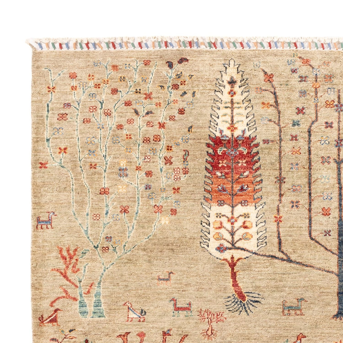 Tapis Ziegler - Ariana - 235 x 172 cm - gris clair