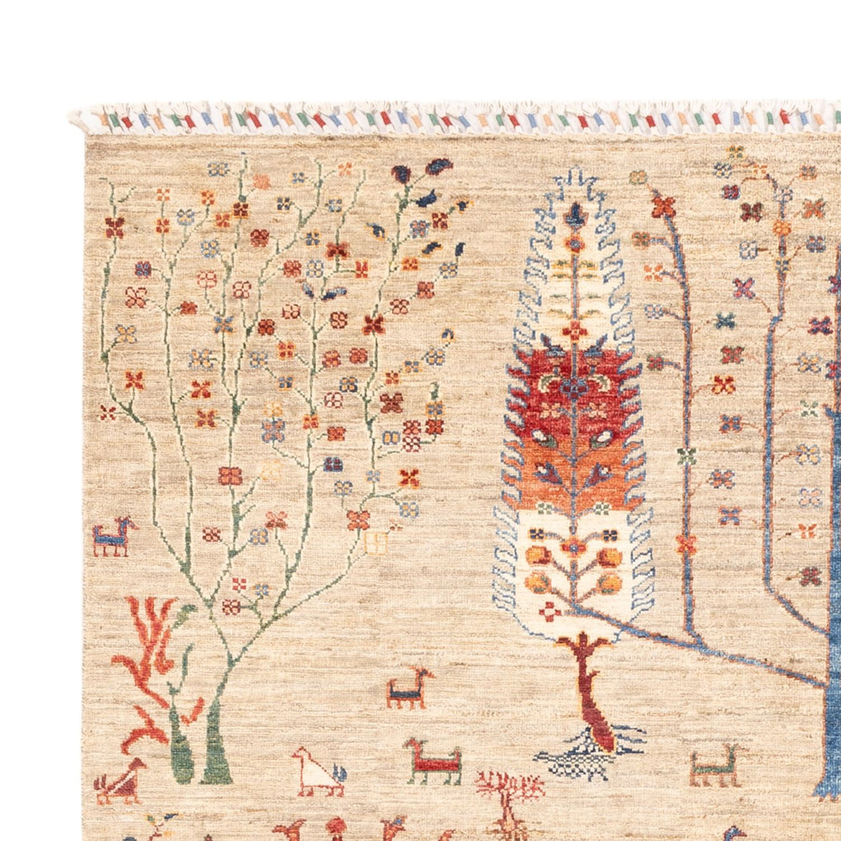 Tapis Ziegler - Ariana - 232 x 168 cm - gris clair