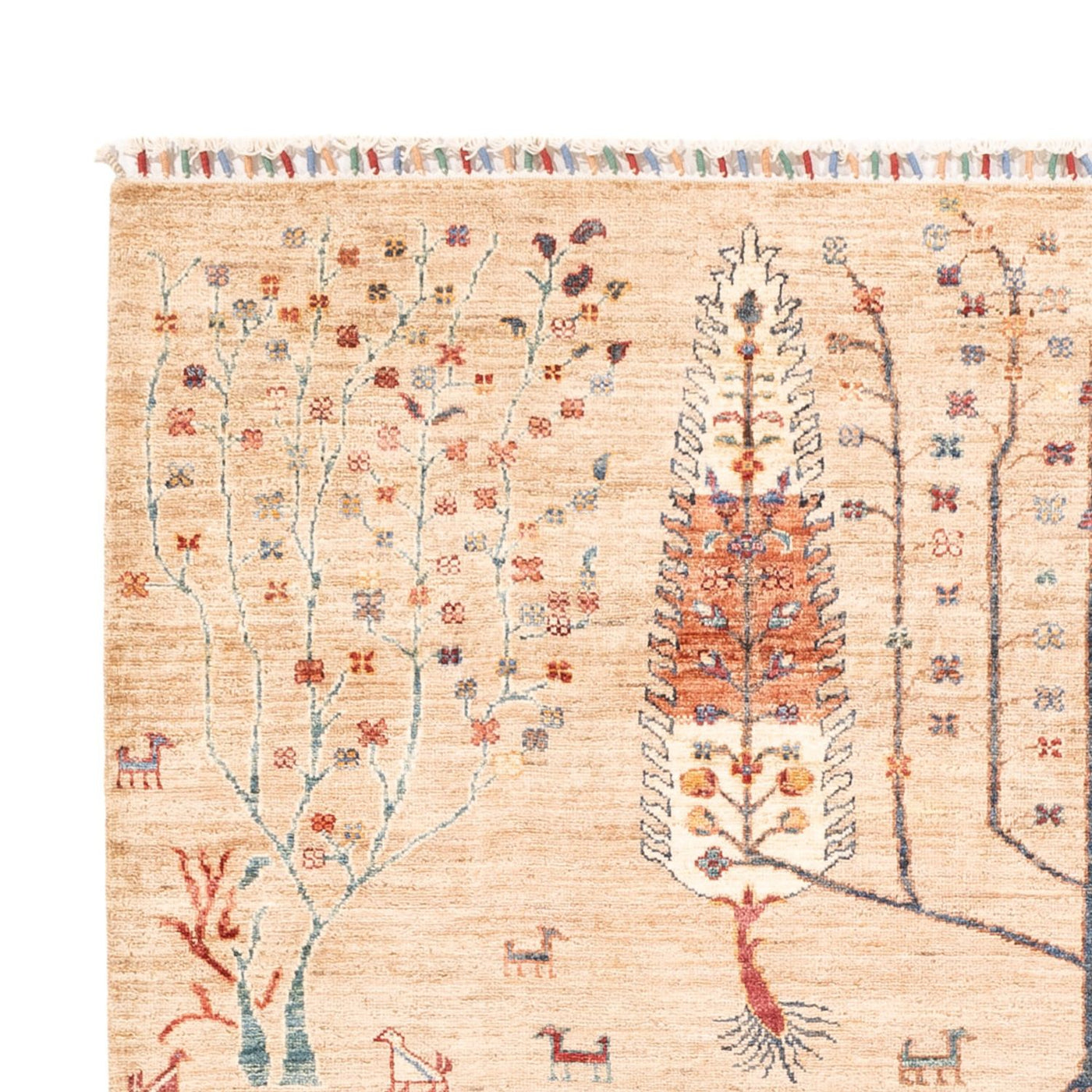 Ariana Tapis 230x170cm - Tapis oriental