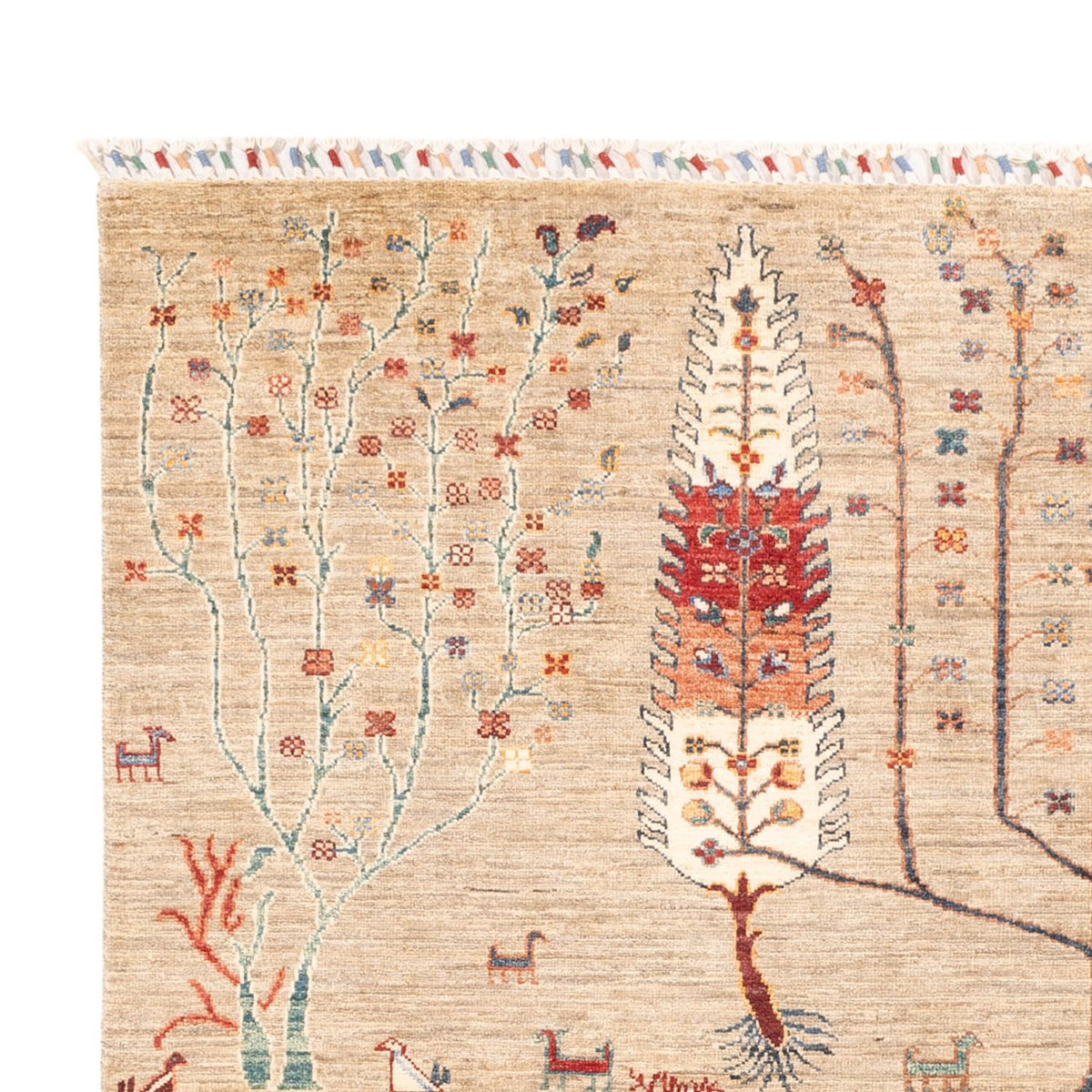 Tapis Ziegler - Ariana - 235 x 169 cm - beige clair