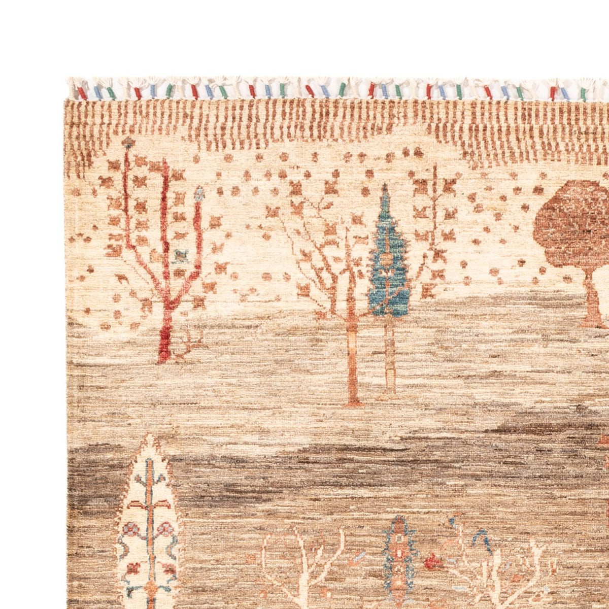 Tapis Ziegler - Ariana - 230 x 170 cm - beige