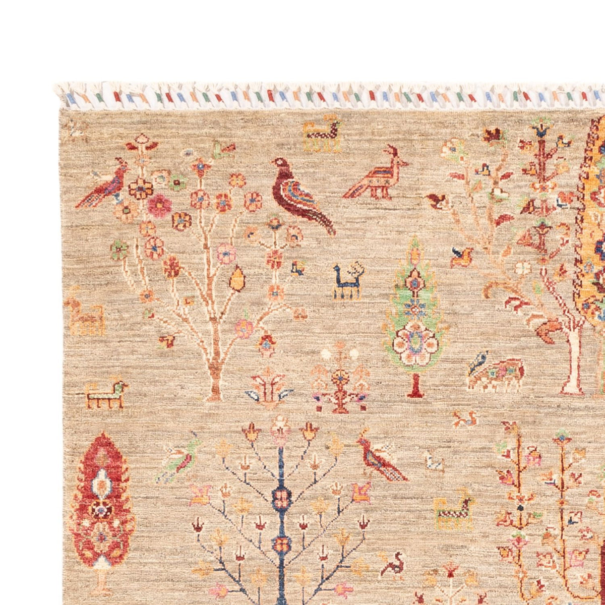 Tapis Ziegler - Ariana - 242 x 169 cm - beige clair