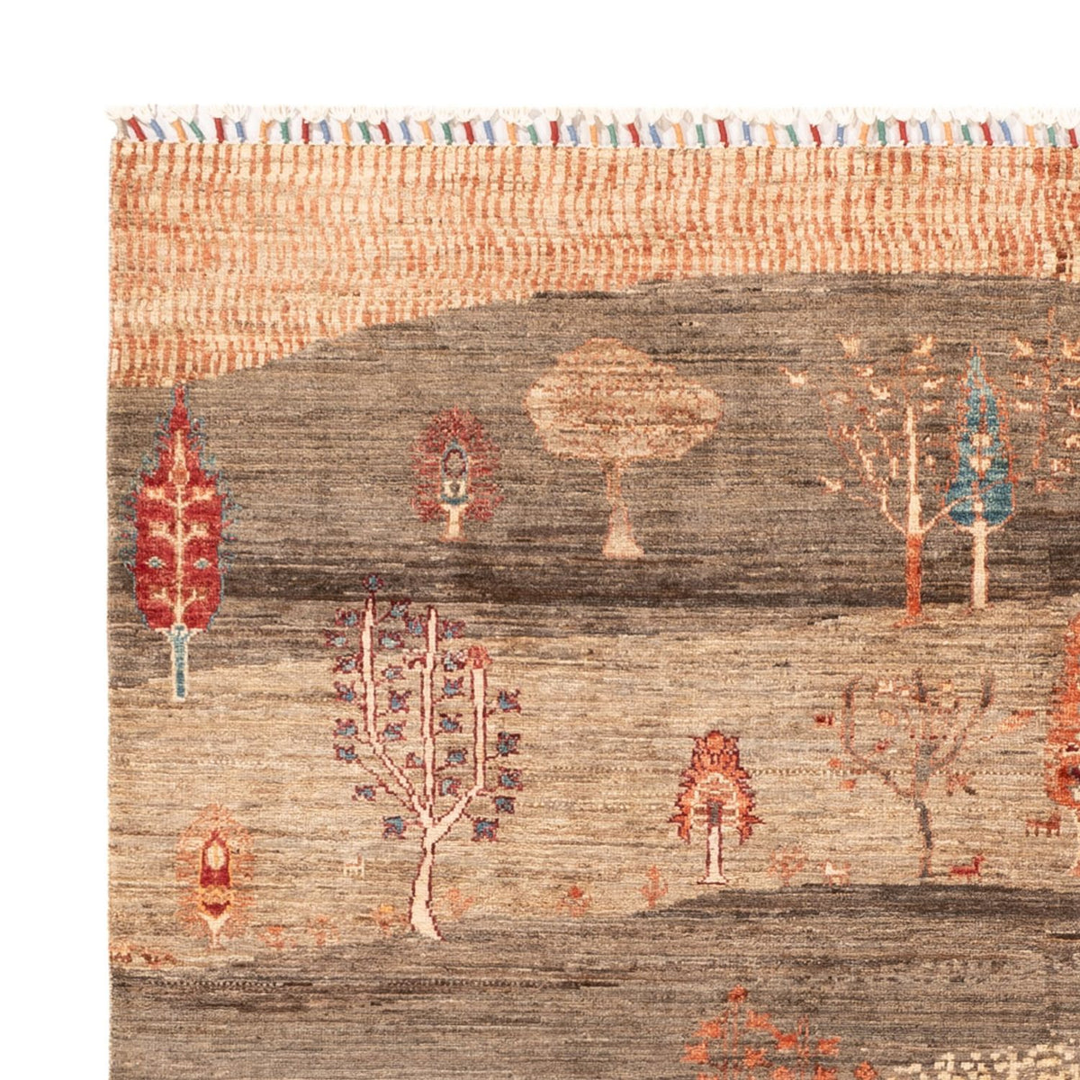 Tapis Ziegler - Ariana - 215 x 171 cm - beige foncé