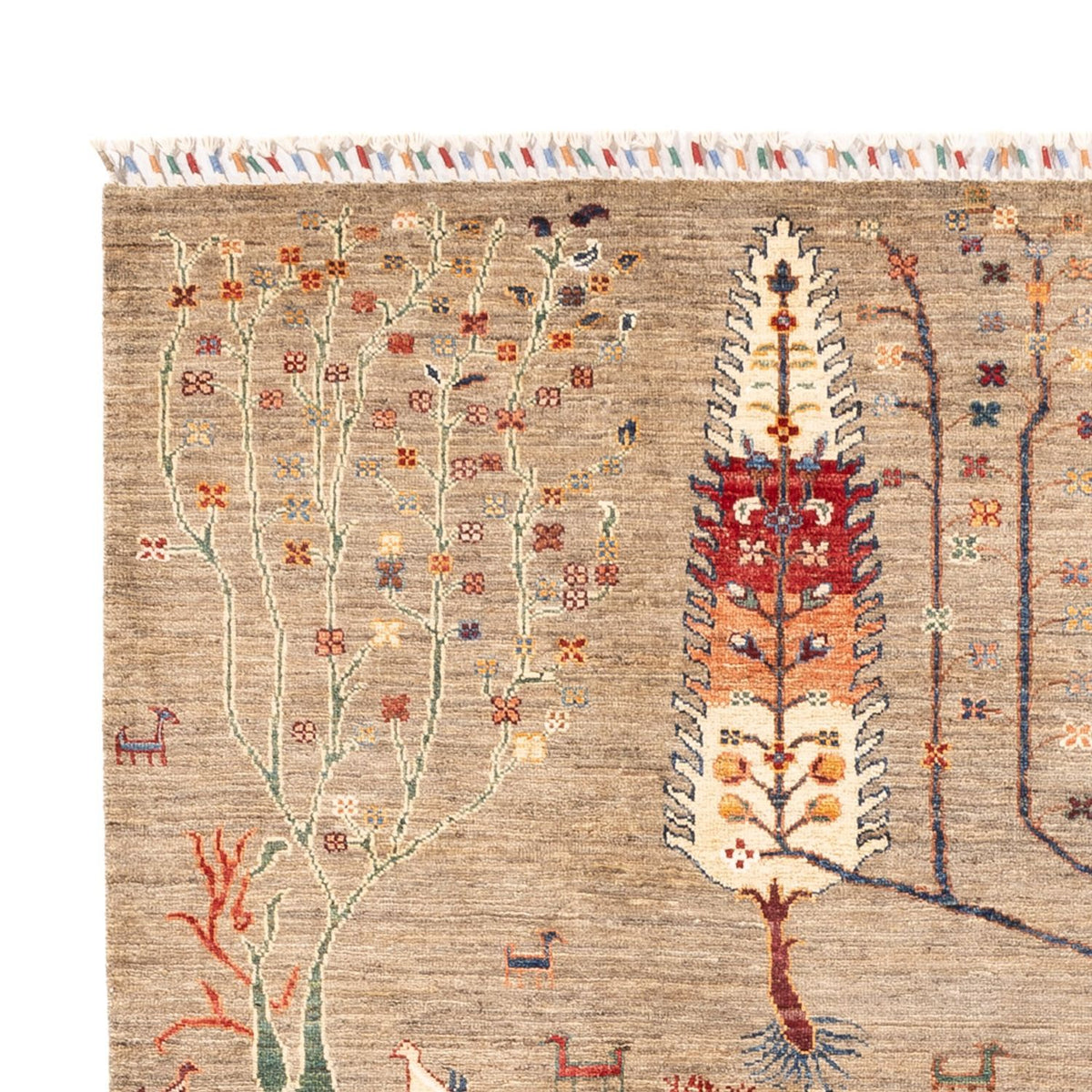 Tapis Ziegler - Ariana - 240 x 169 cm - beige foncé