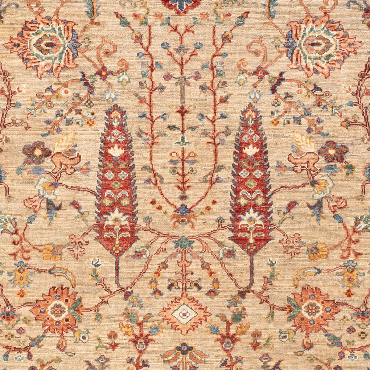 Tapis Ziegler - Ariana - 233 x 168 cm - beige