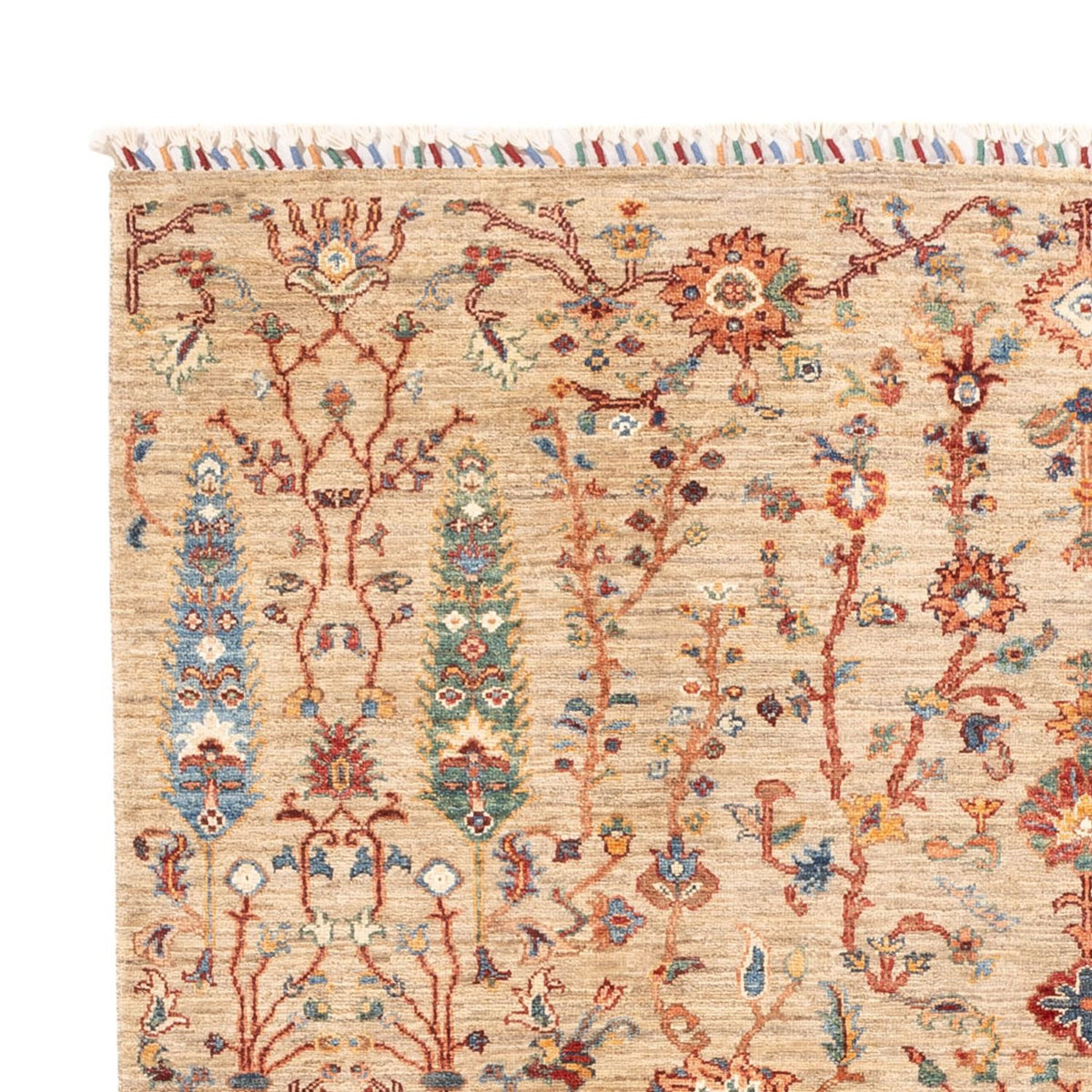 Tapis Ziegler - Ariana - 233 x 168 cm - beige
