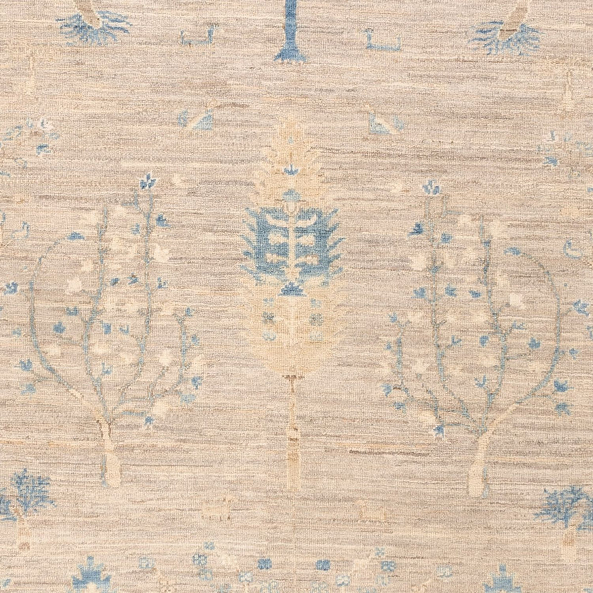 Tapis Ziegler - Ariana - Royal - 212 x 170 cm - sable