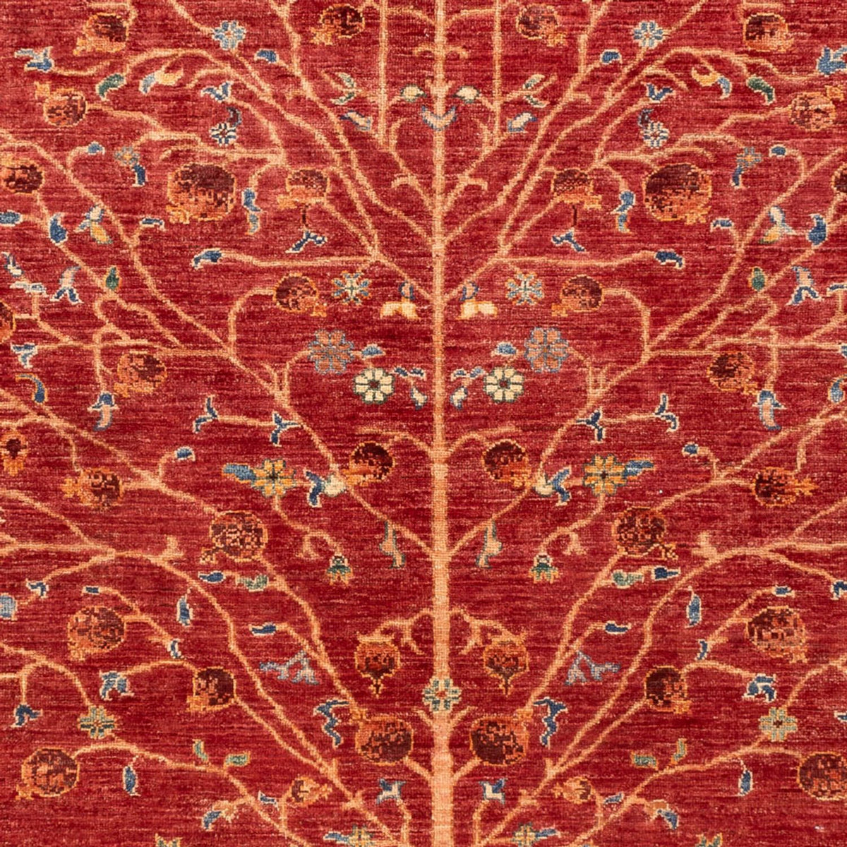 Tapis Ziegler - Ariana - 237 x 174 cm - rouge