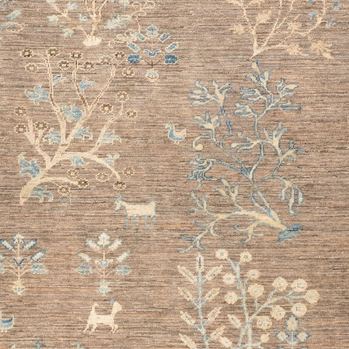 Tapis Ziegler - Ariana - Royal - 236 x 170 cm - sable
