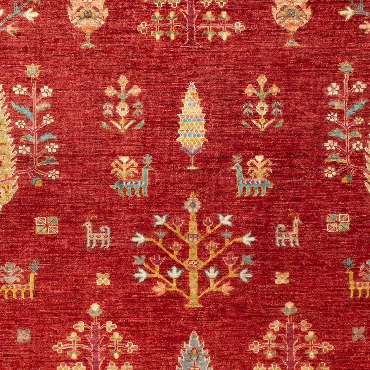 Tapis Ziegler - Ariana - 242 x 168 cm - rouge