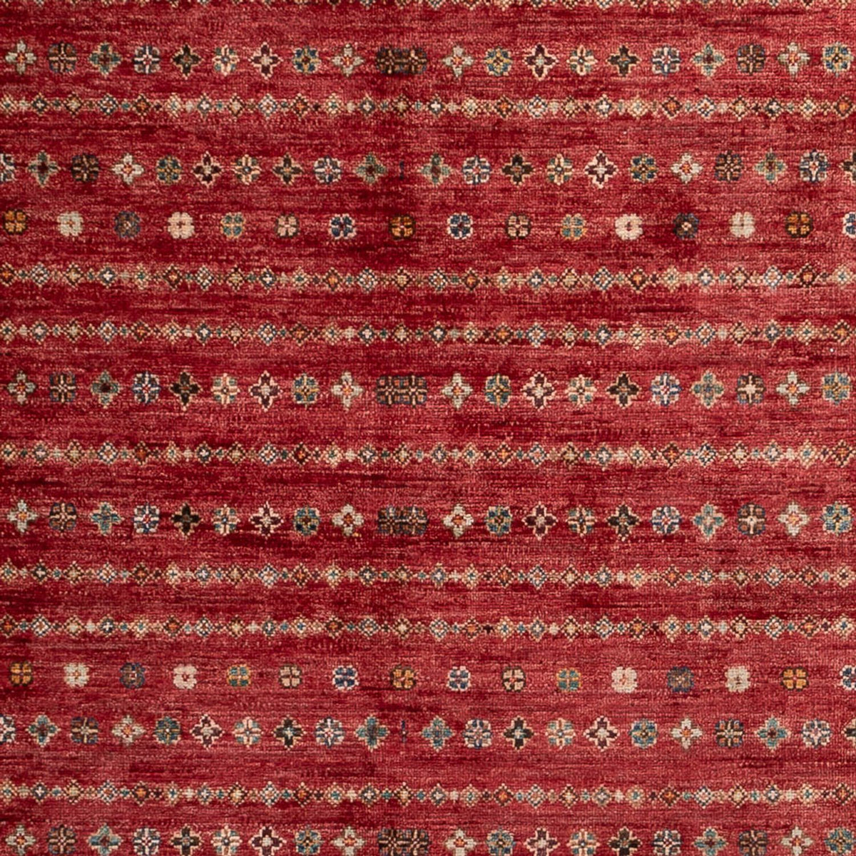 Tapis Ziegler - Shal - 268 x 183 cm - rouge