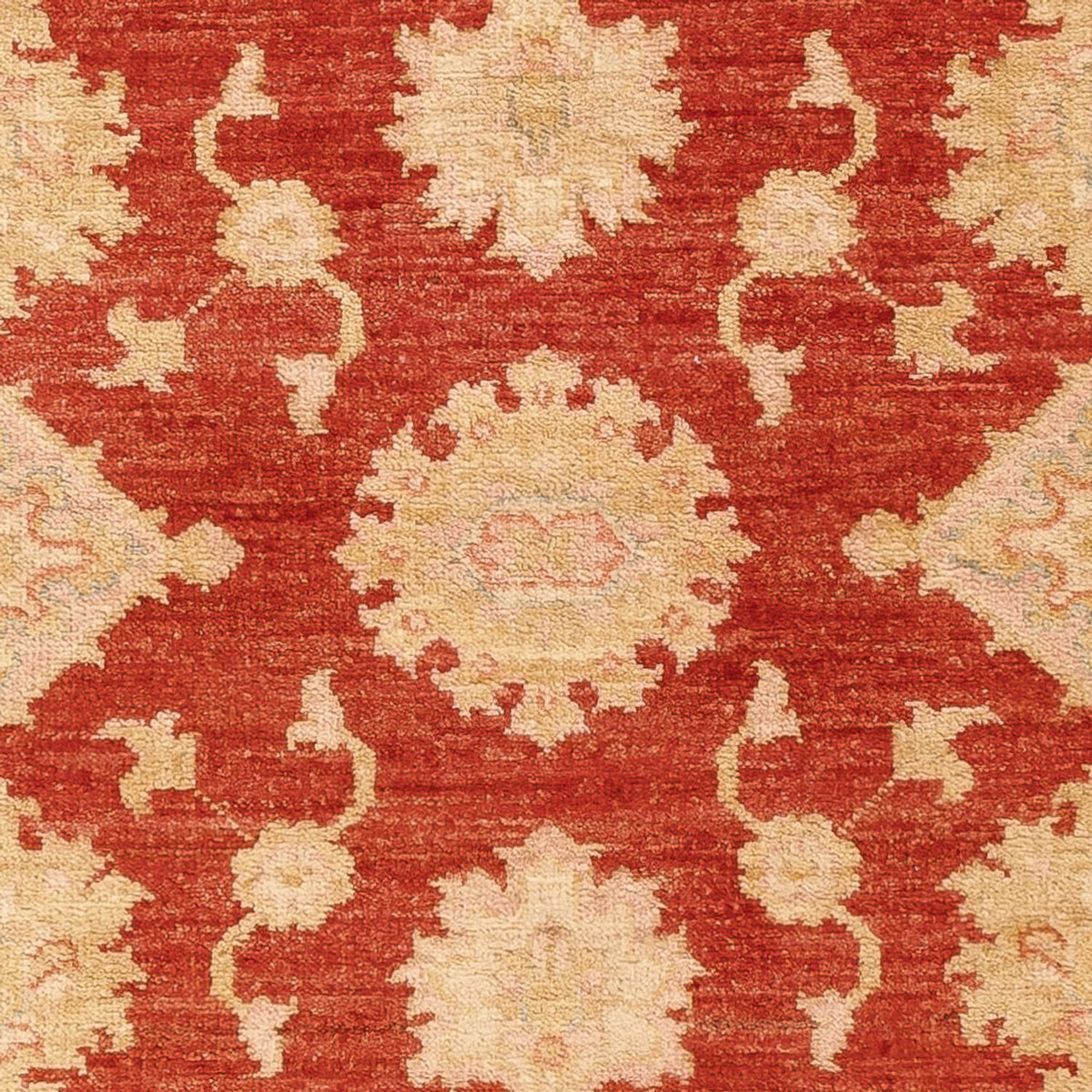 Tapis de couloir Tapis Ziegler - 197 x 87 cm - rouge