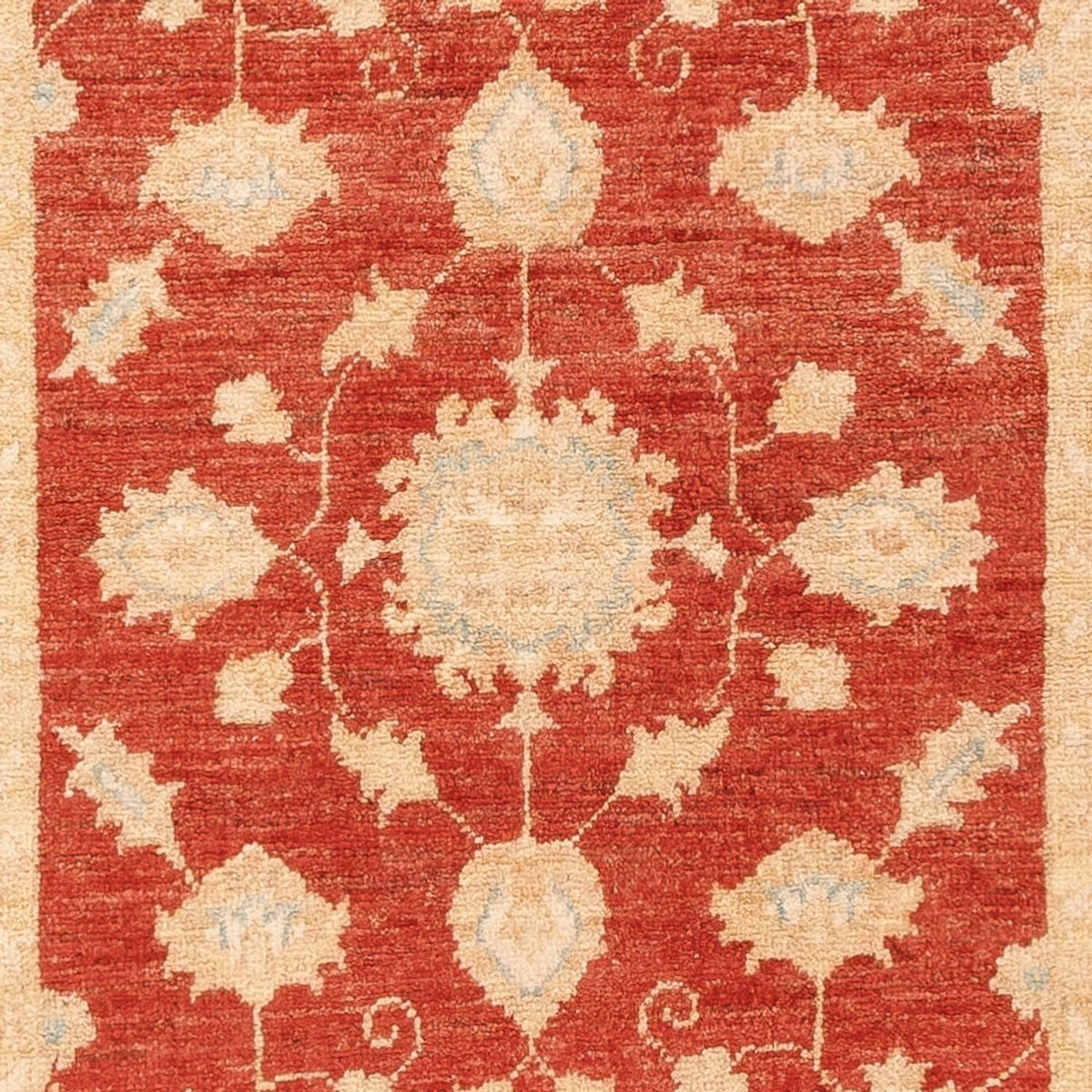 Tapis de couloir Tapis Ziegler - 197 x 73 cm - rouge