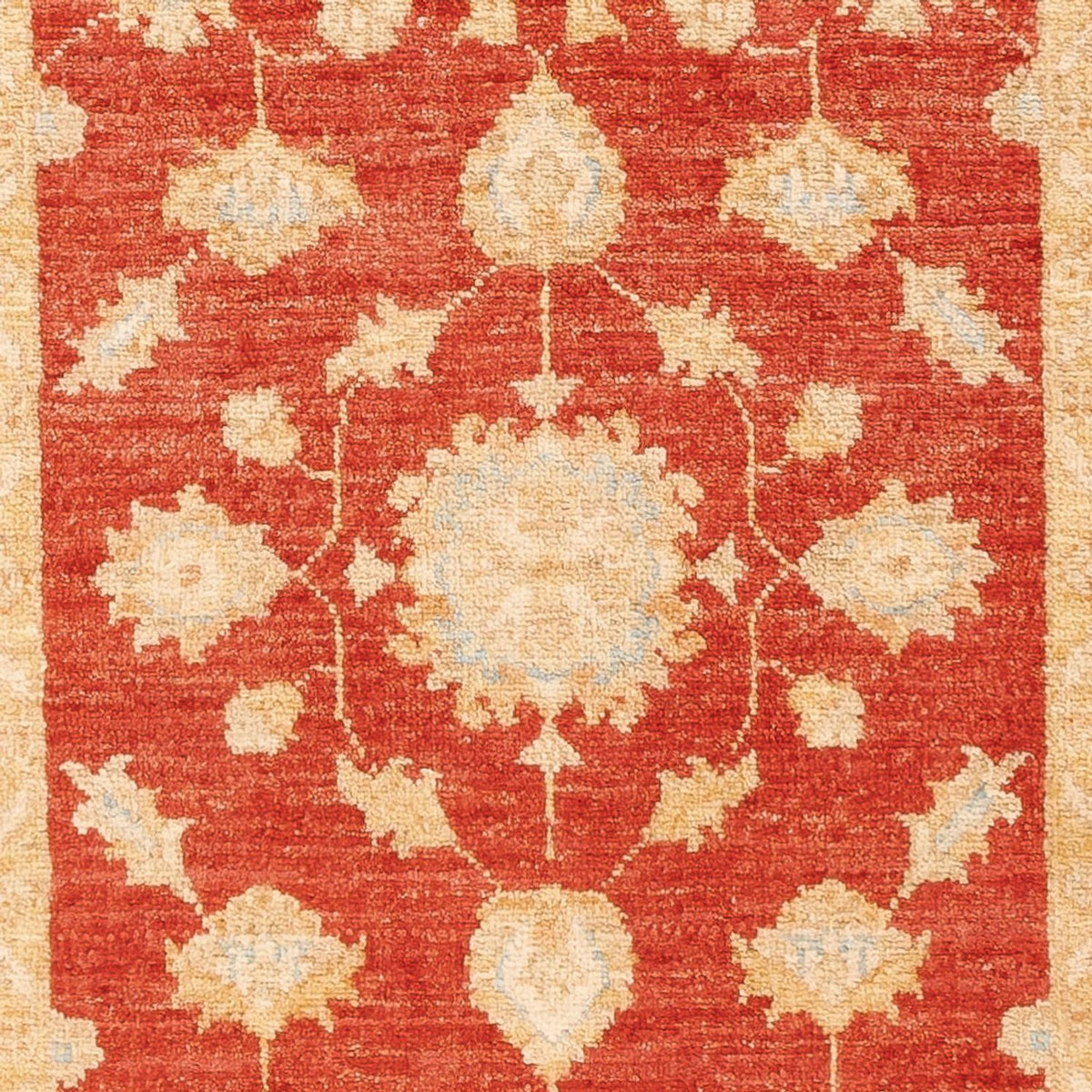 Tapis de couloir Tapis Ziegler - 199 x 76 cm - rouge