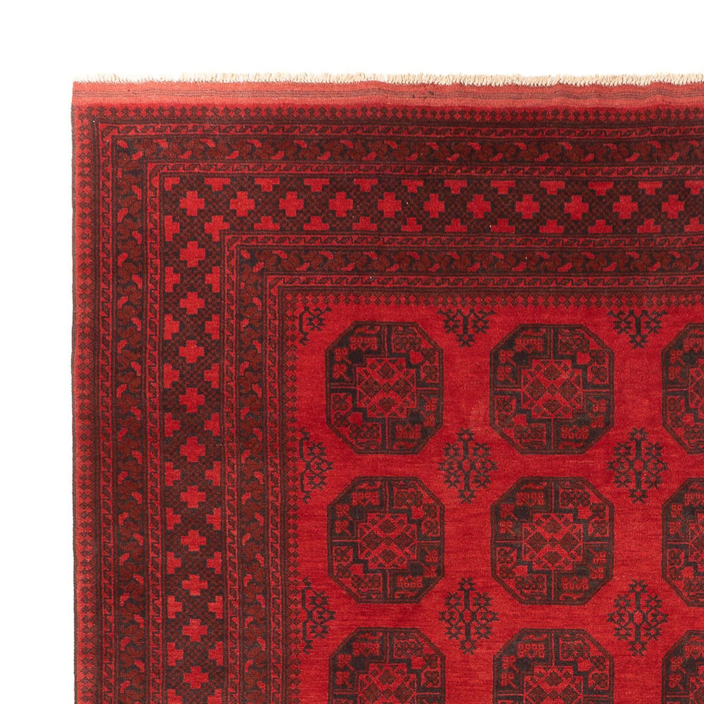 Akhche Tapis 401x309cm - Tapis oriental