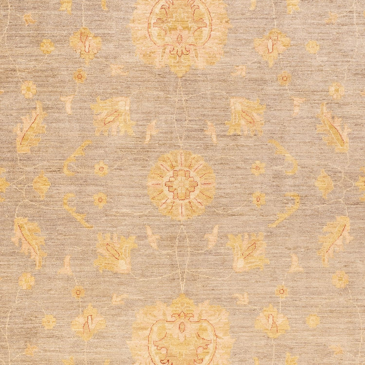 Tapis Ziegler - 397 x 304 cm - beige foncé