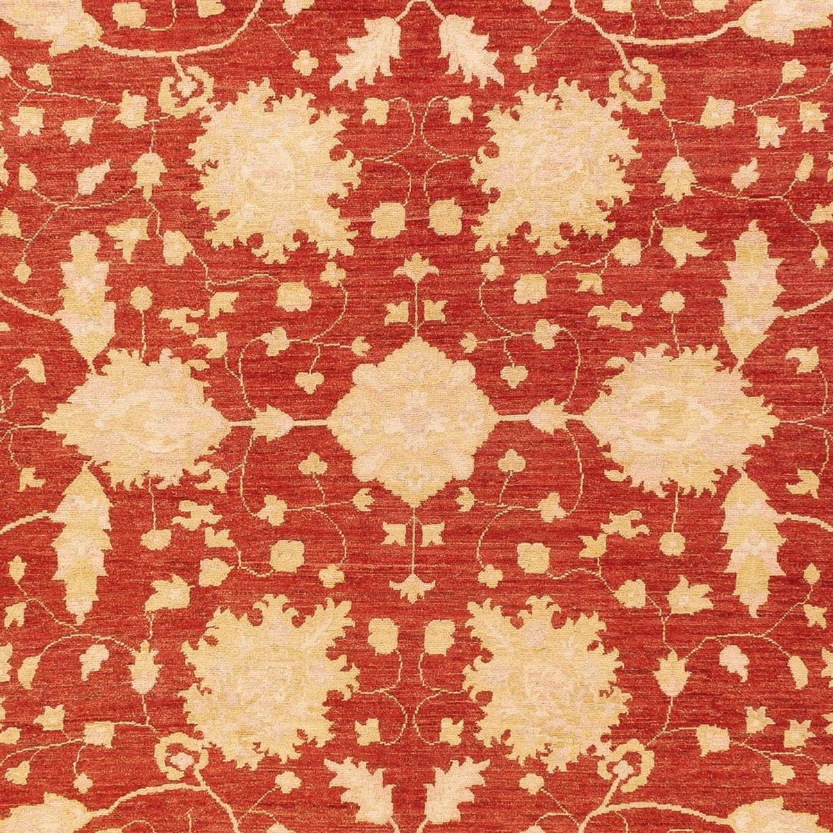 Tapis Ziegler - 399 x 305 cm - rouge