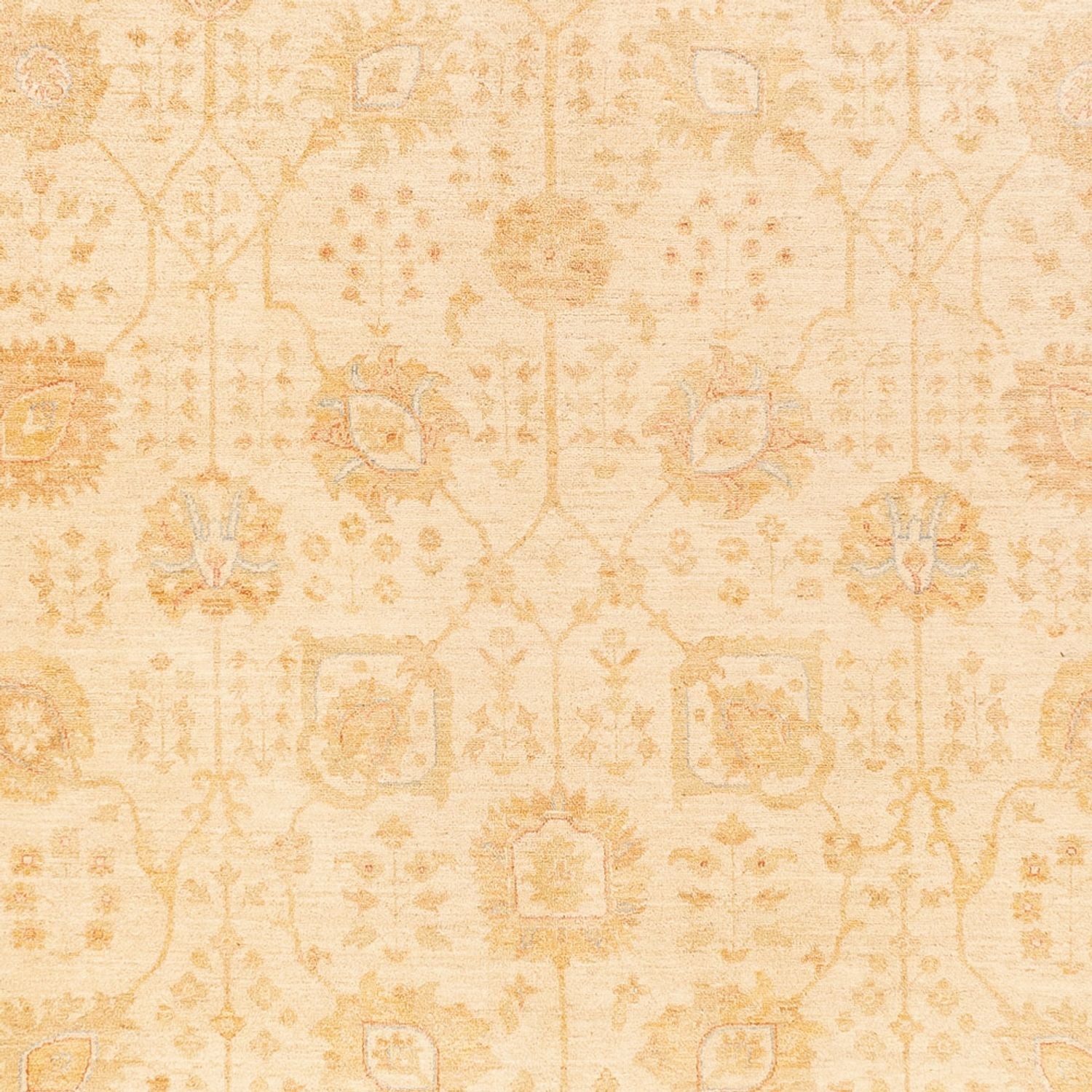 Tapis Ziegler - 400 x 305 cm - beige
