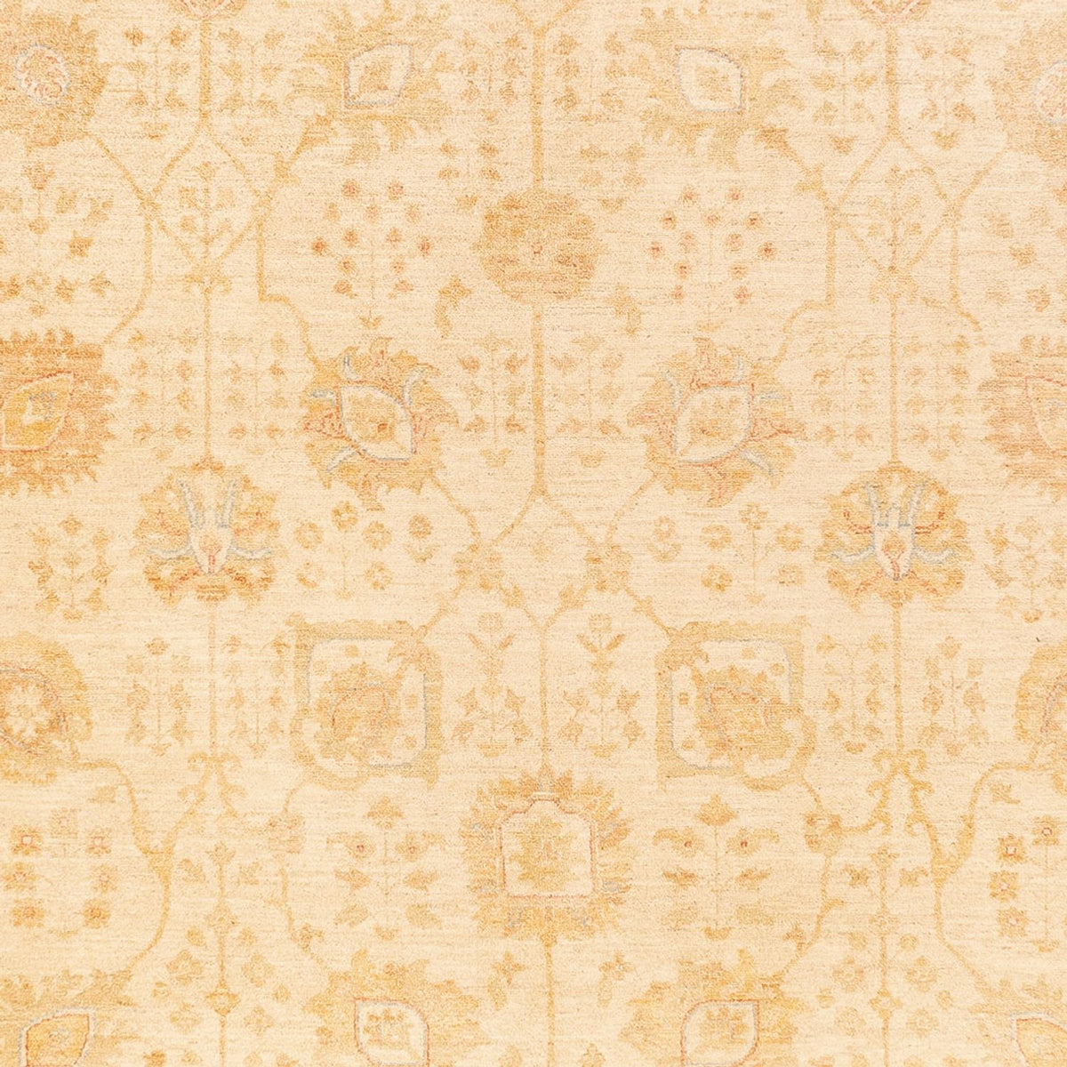 Tapis Ziegler - 400 x 305 cm - beige