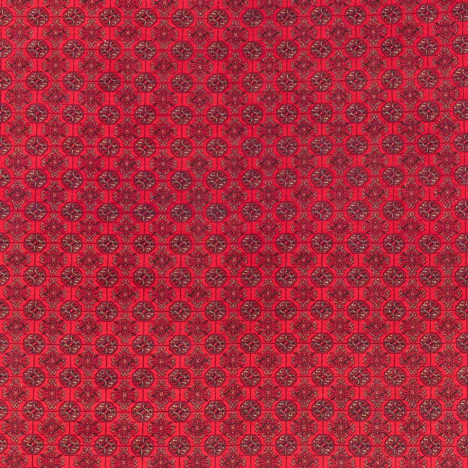 Tapis afghan - Royal - 380 x 292 cm - rouge