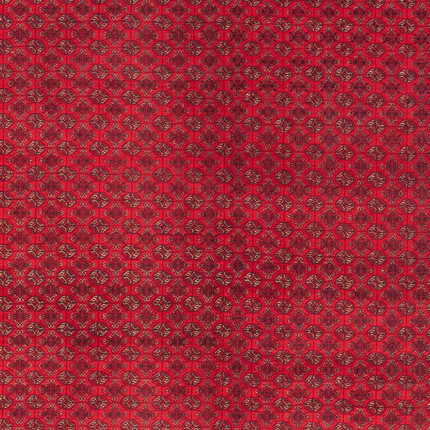 Tapis afghan - Royal - 404 x 294 cm - rouge