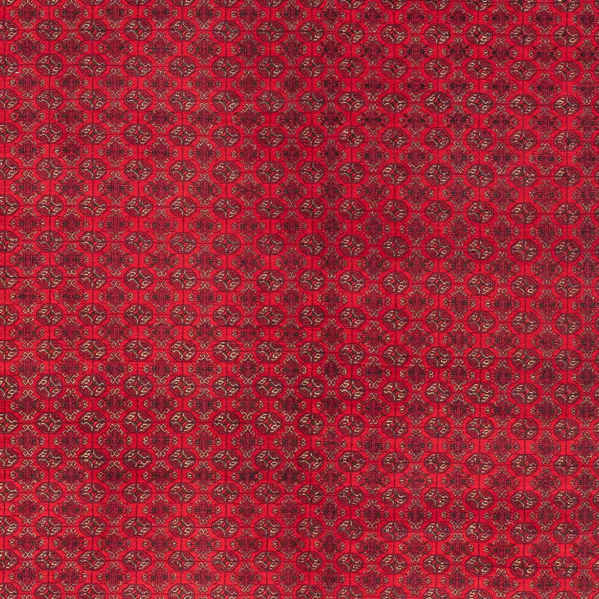 Tapis afghan - Royal - 404 x 294 cm - rouge