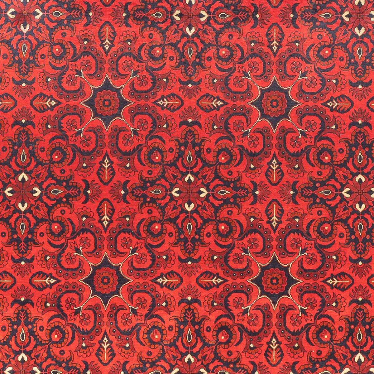 Tapis afghan - Kunduz - 379 x 297 cm - rouge