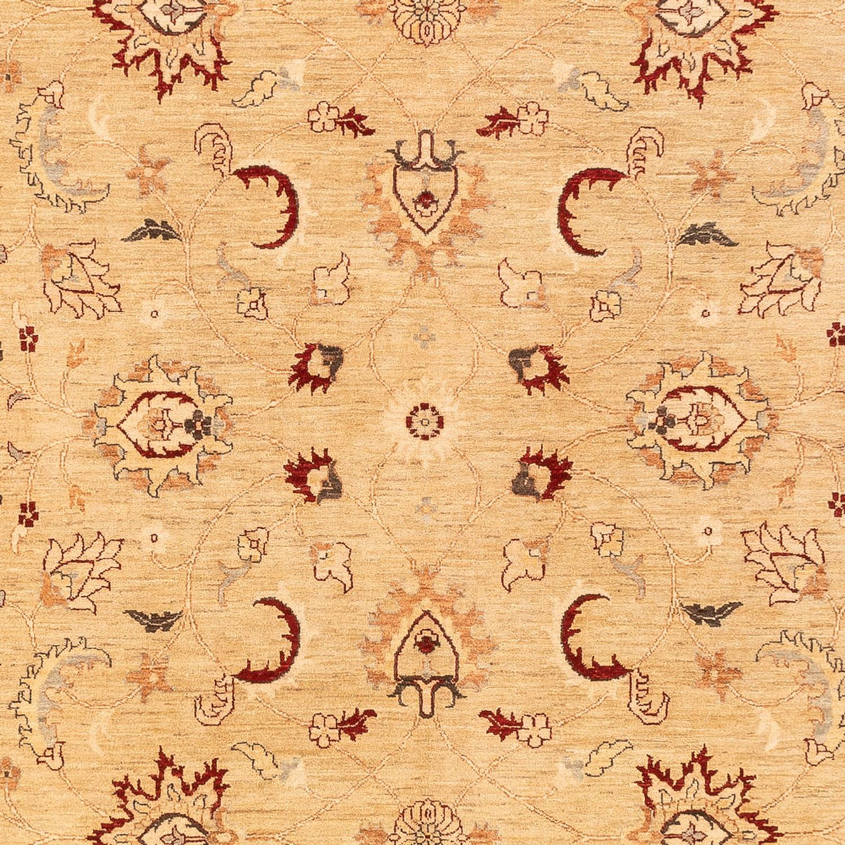 Tapis Ziegler - 383 x 271 cm - beige