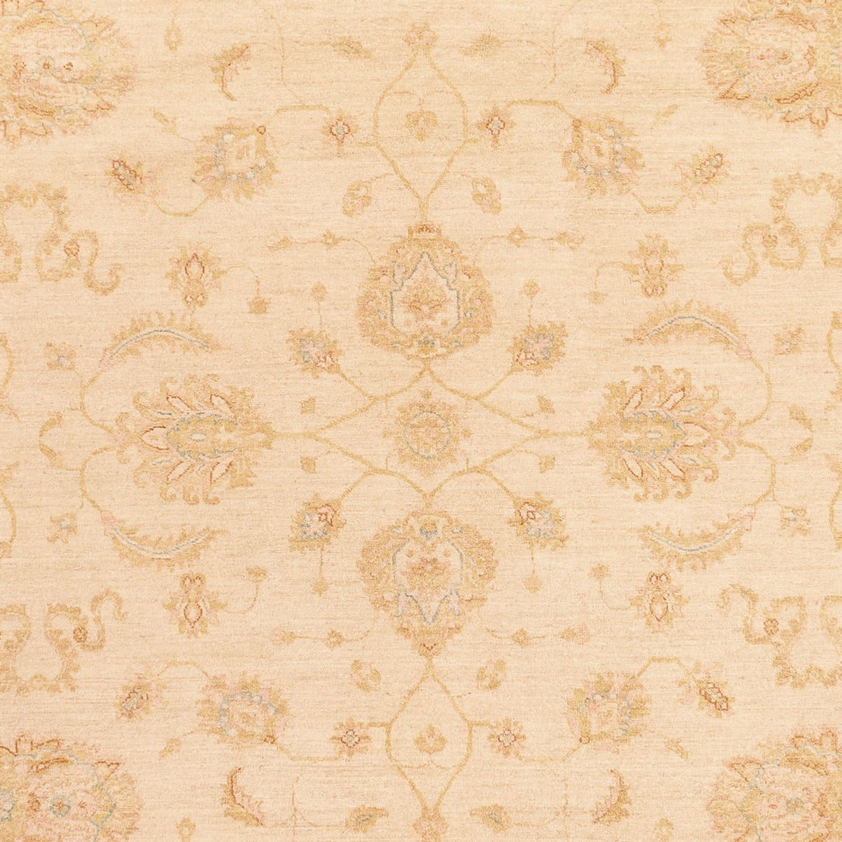 Tapis Ziegler - 364 x 277 cm - beige
