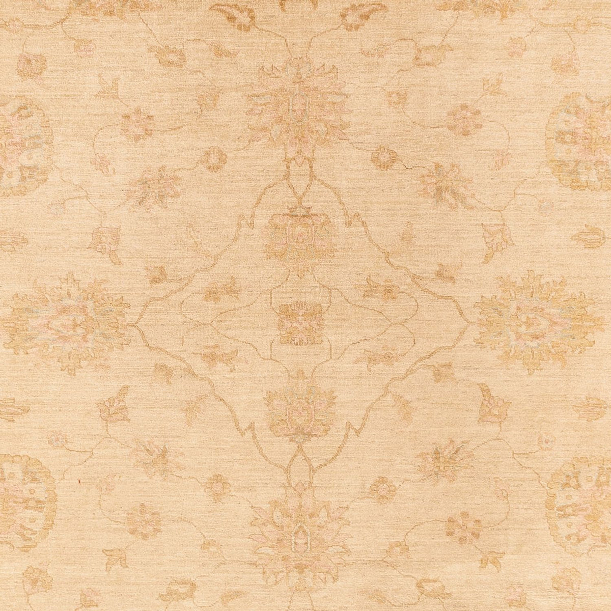Tapis Ziegler - 375 x 273 cm - beige