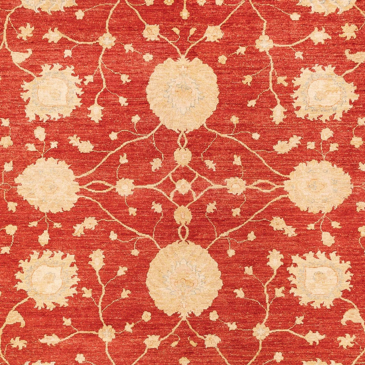 Tapis Ziegler - 367 x 277 cm - rouge