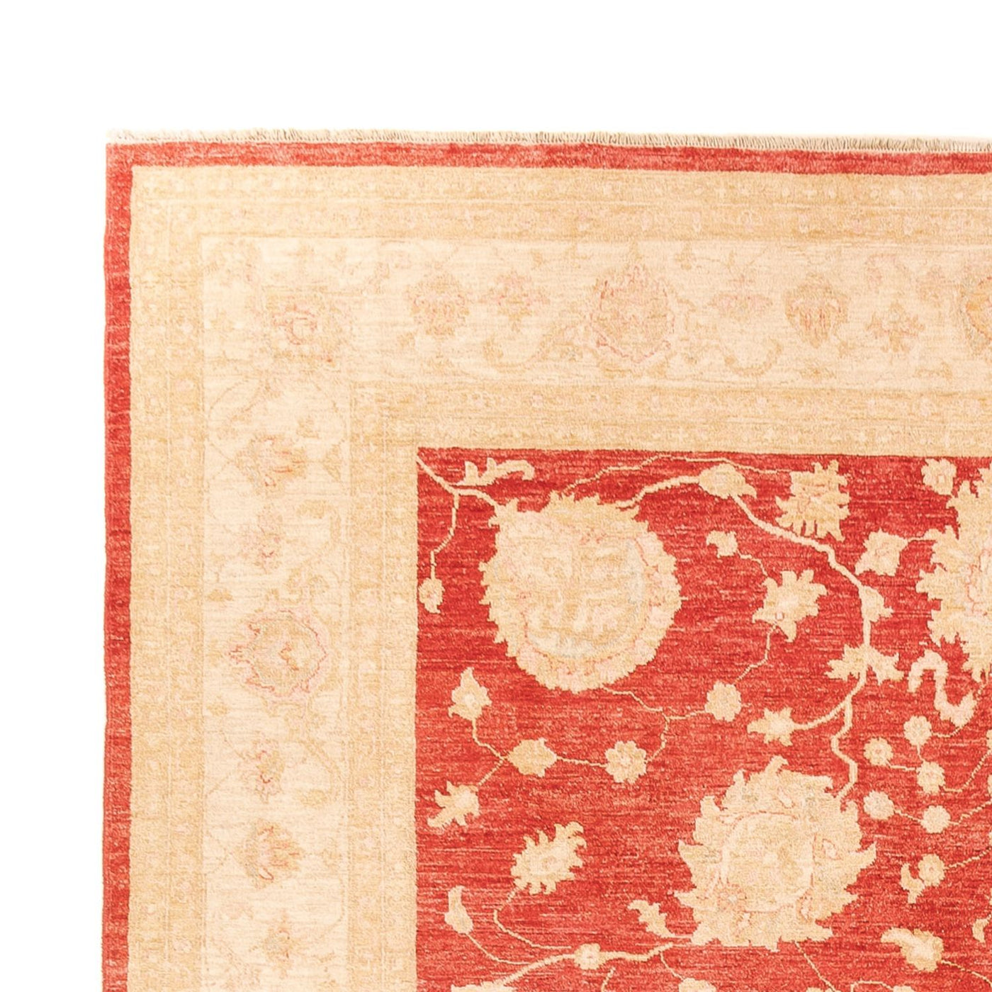Tapis Ziegler 373x274cm - Tapis oriental