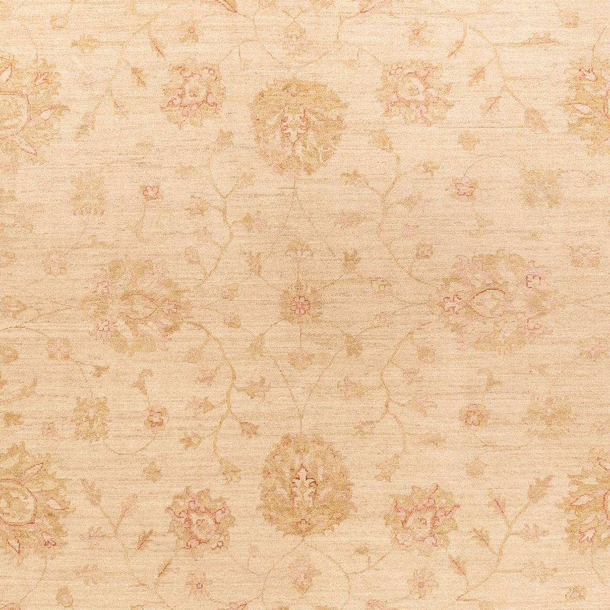 Tapis Ziegler - 363 x 272 cm - beige