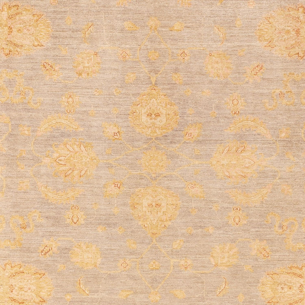 Tapis Ziegler - 360 x 271 cm - beige foncé