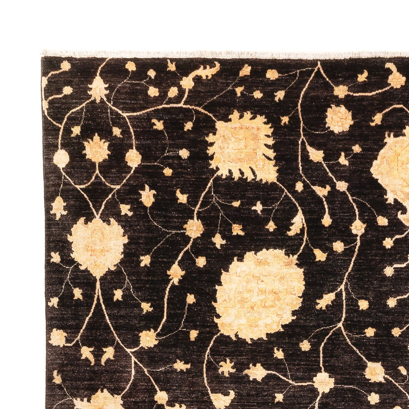 Ariana Tapis 374x277cm - Tapis oriental