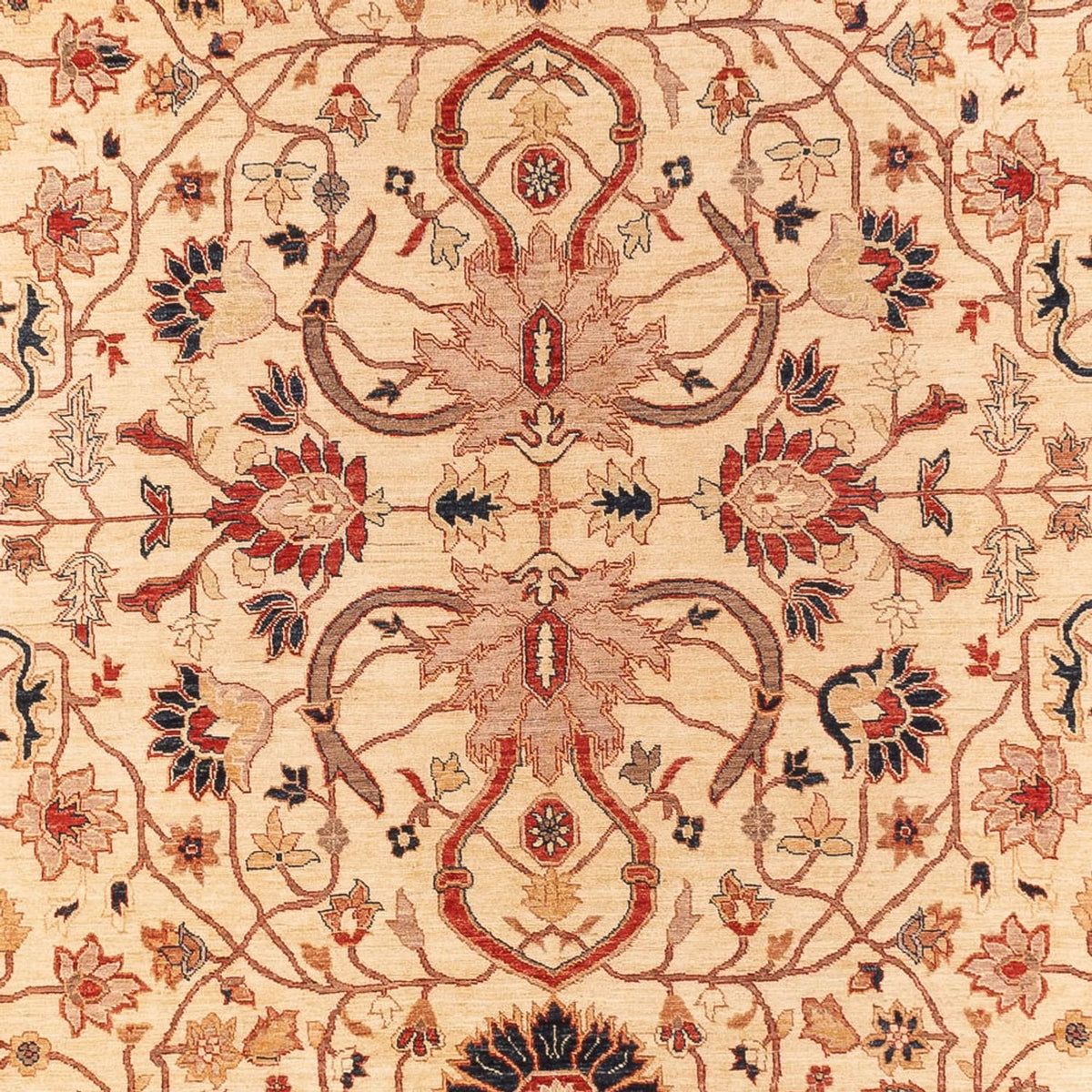Tapis Ziegler - 365 x 276 cm - beige