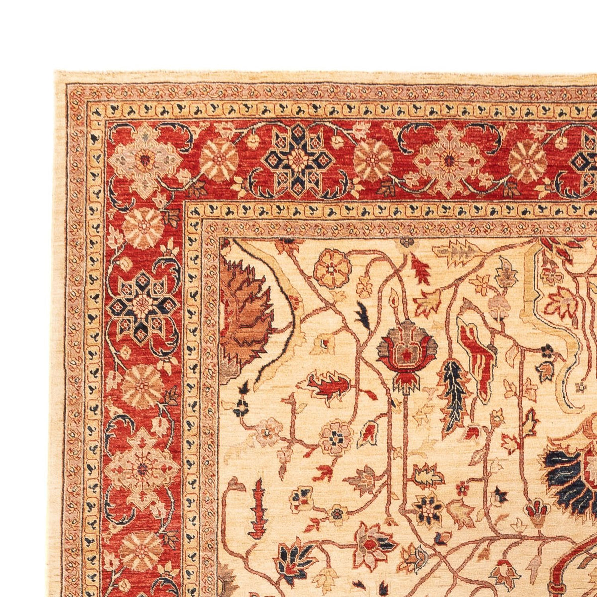 Tapis Ziegler - 365 x 276 cm - beige