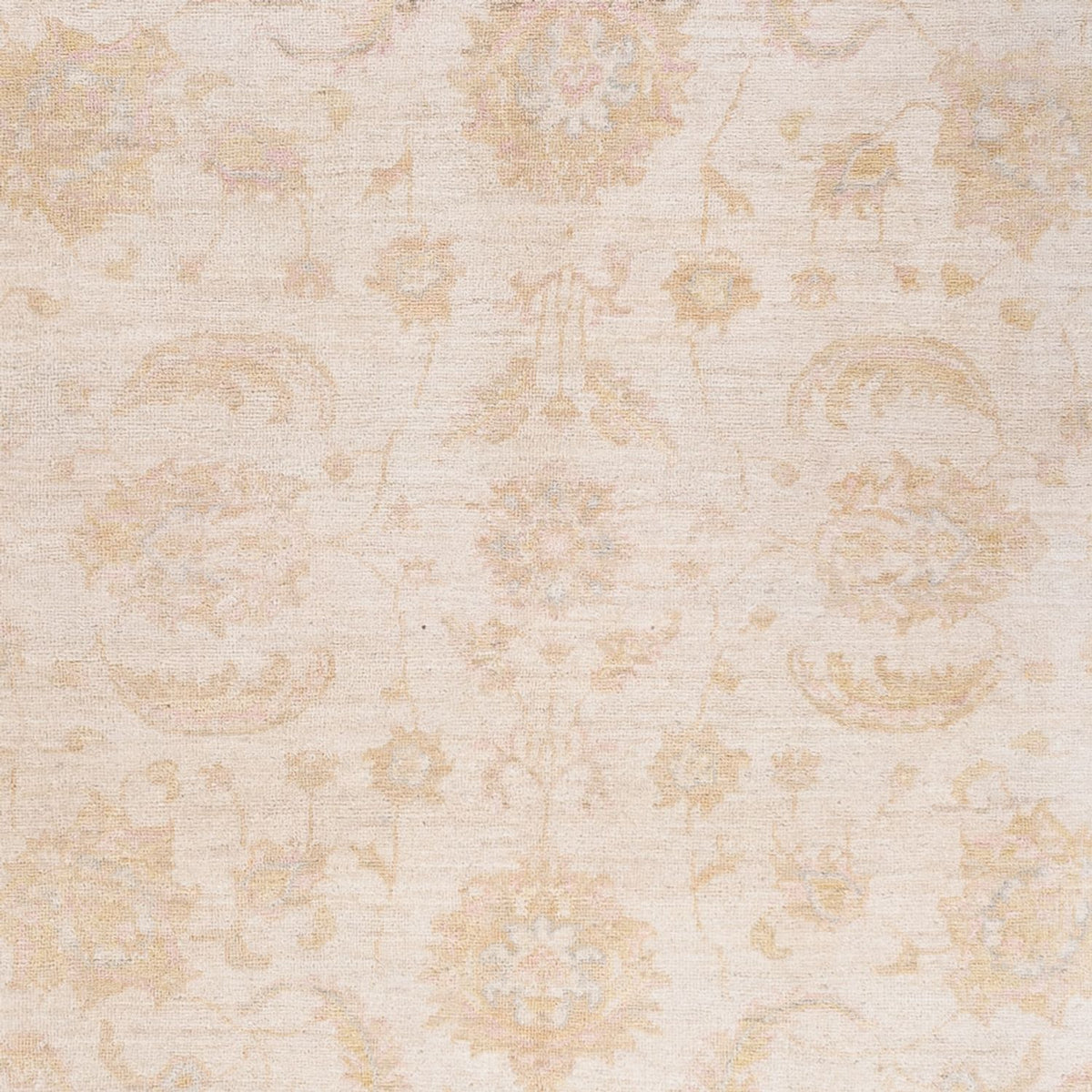 Tapis Ziegler - 240 x 162 cm - crème