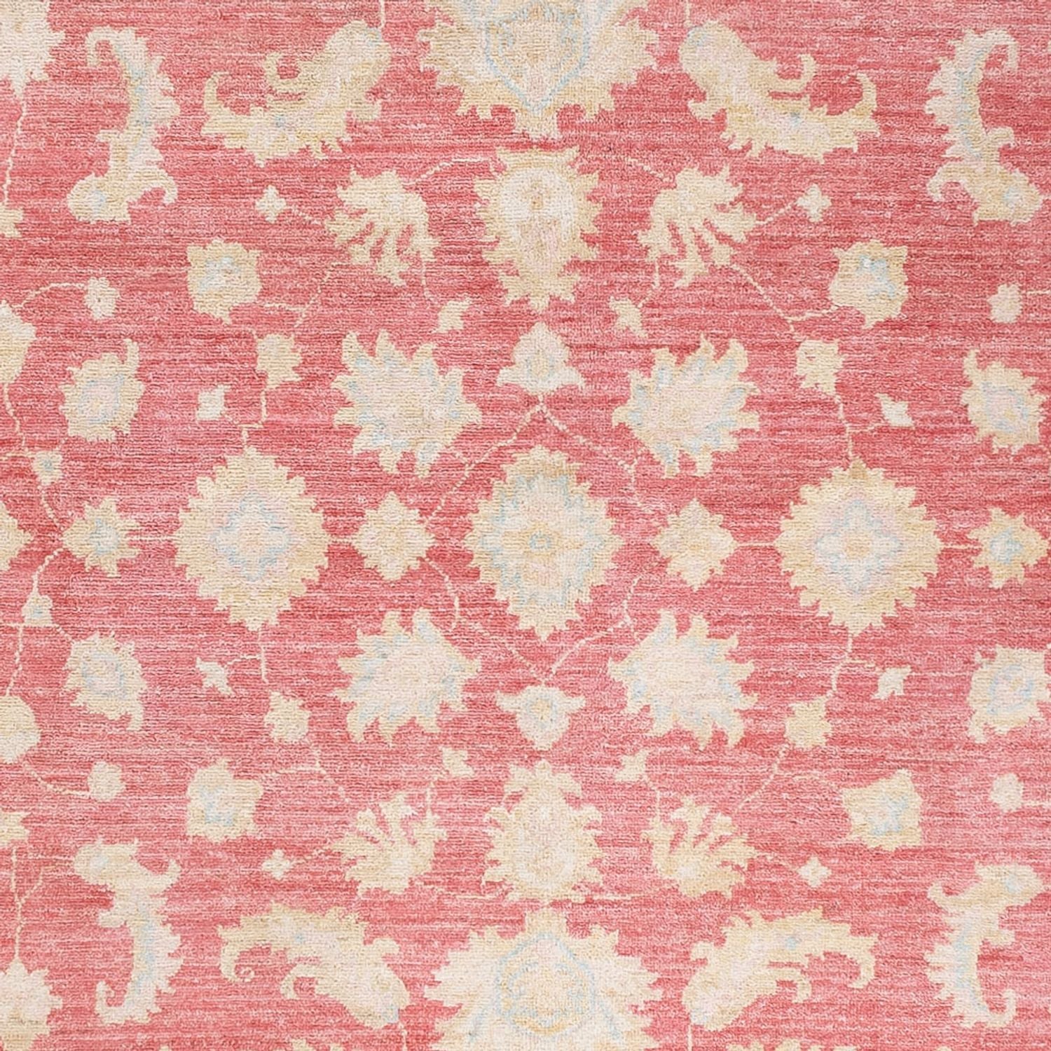 Tapis Ziegler - 245 x 175 cm - rouge
