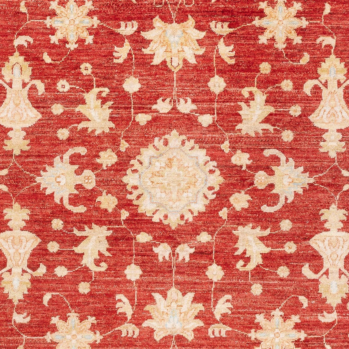 Tapis Ziegler - 241 x 172 cm - rouge
