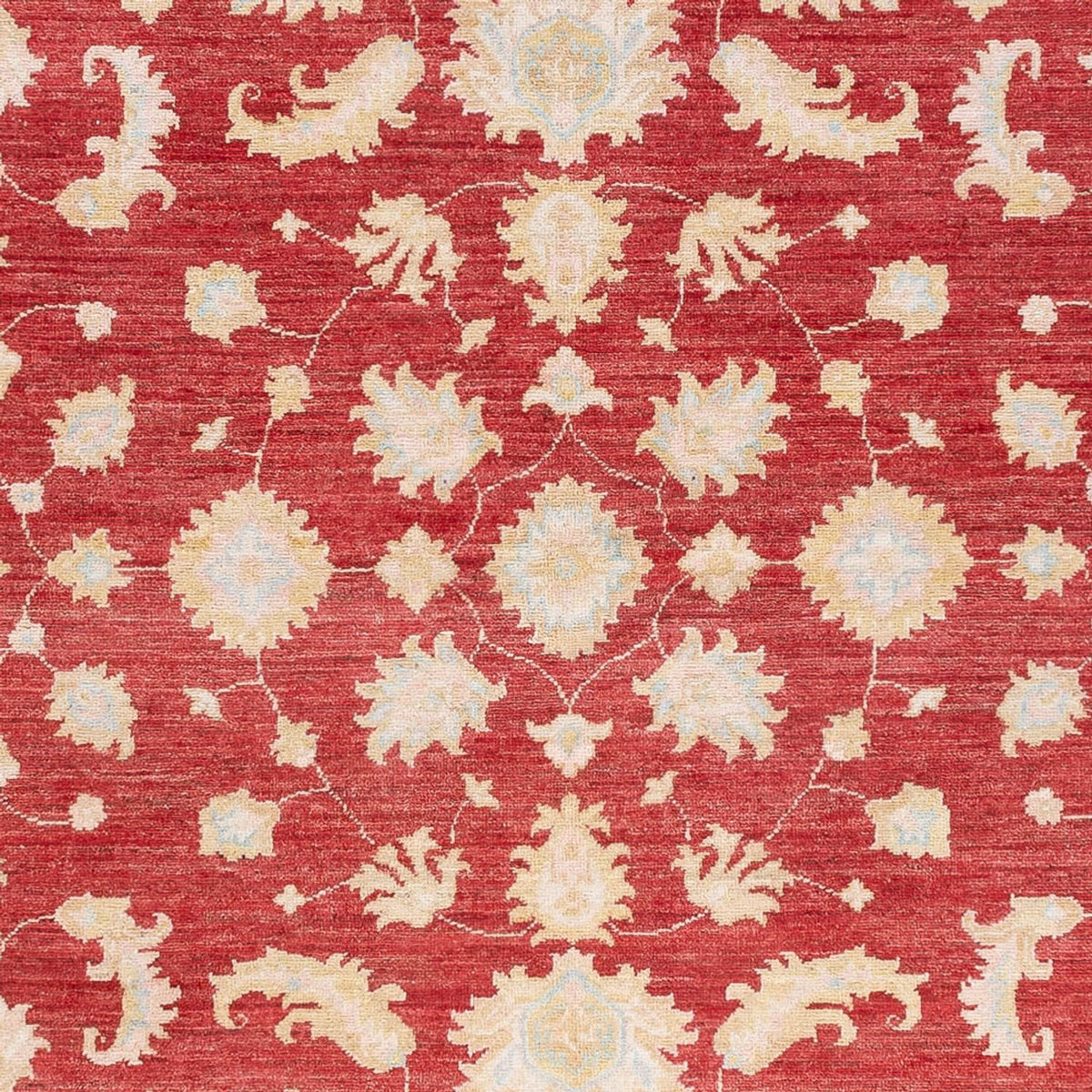 Tapis Ziegler - 240 x 175 cm - rouge
