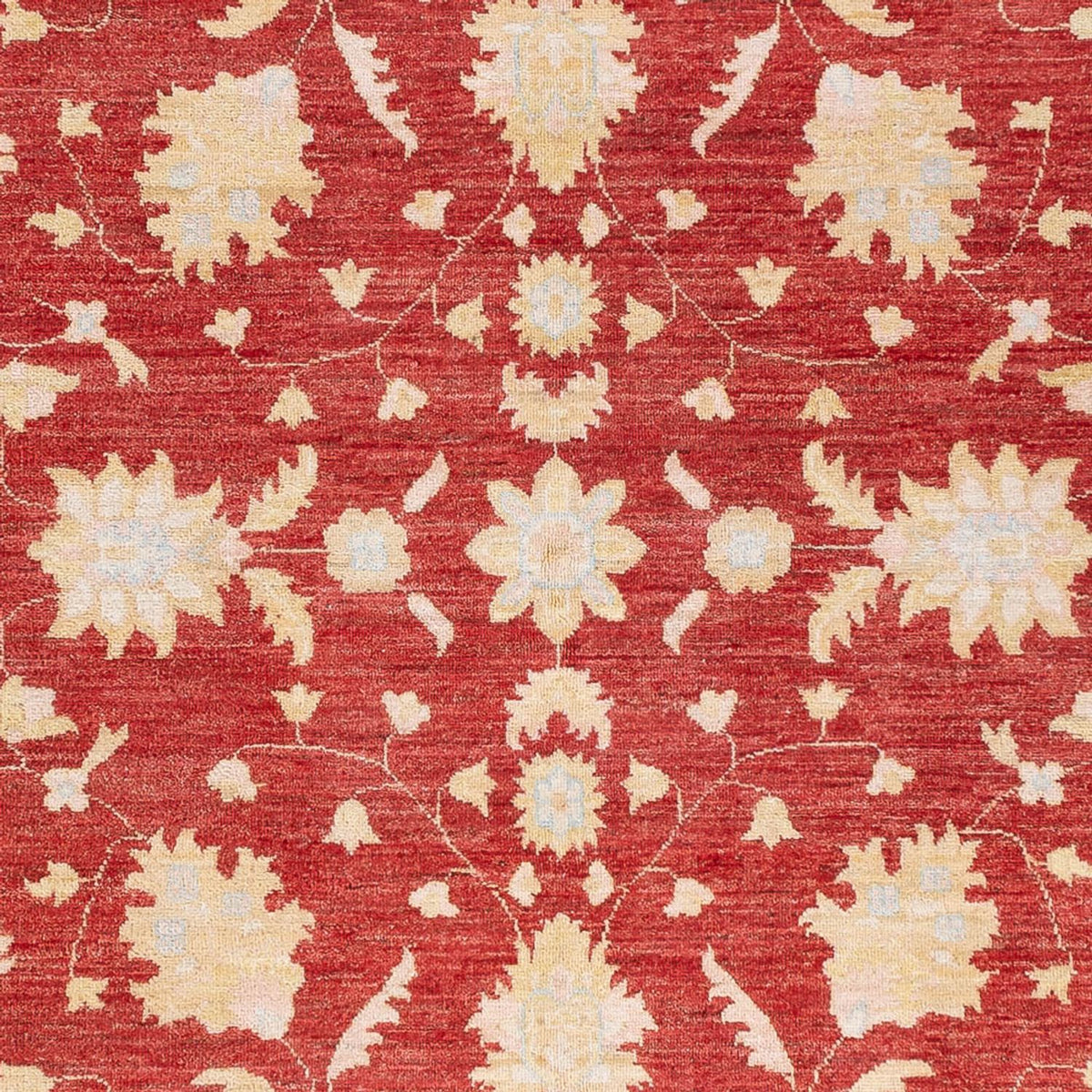 Tapis Ziegler - 234 x 172 cm - rouge