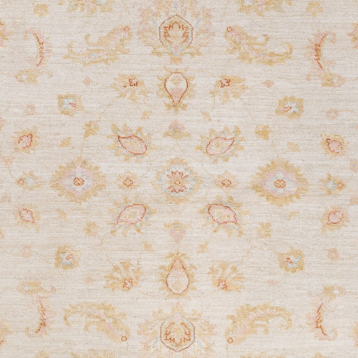 Tapis Ziegler - 245 x 173 cm - crème