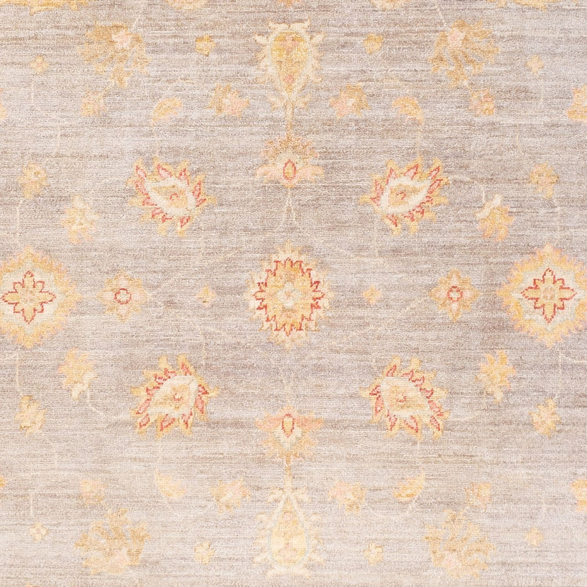 Tapis Ziegler - Ariana - 241 x 169 cm - lilas